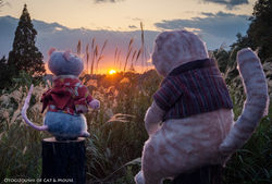 沈む夕日