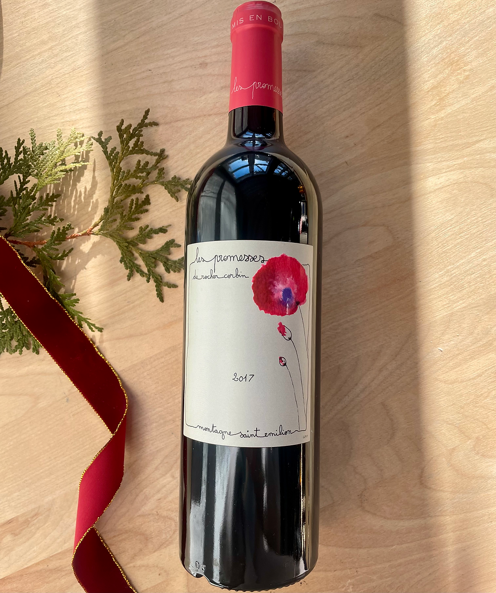 Montagne Saint-Emilion, Les promesses 2017, Château Rocher Corbin