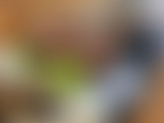 帰国の途につきます。