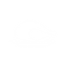 turkey_icon_white.png