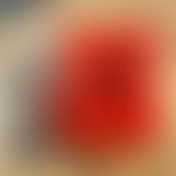 Fire Hardening Homes – Active Fire Suppression System