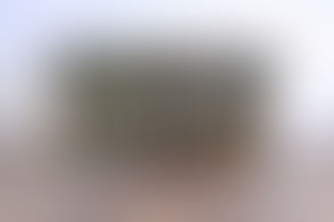 Truhe mit Original-Malerei 18. Jh. vermutlich Ostschweiz