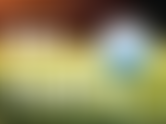 2022 Mexico Open Ronda 2