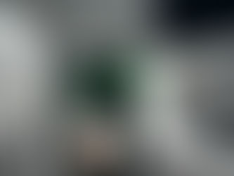 Who's that lady?
