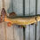 Thumbnail: #090 Northern Pike