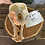 Thumbnail: #345 Baboon Skull