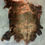 Thumbnail: #I-424 Buffalo Rug