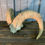 Thumbnail: #267 Dahl Sheep Horns, Bleached