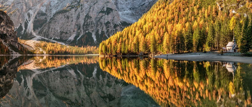 Goldene Lärchen Pragser Wildsee