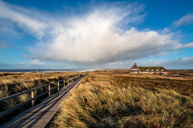 Dünenlandschaft auf Sylt am roten Kliff an der Westküste der Insel