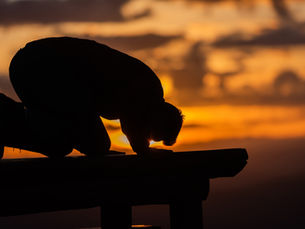 Are You Just Covering Your Bases