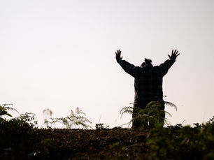 Why Do I Do What I Shouldn’t?