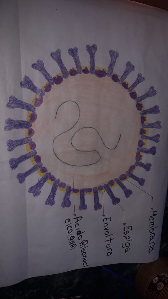 WhatsApp Image 2020-07-01 at 12.51.16