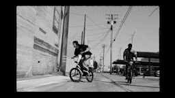 BMX | Adidas Terrex