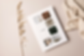 Branding Program Wien Vienna Brand Design Brand Identity