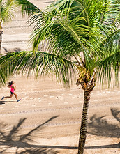 Beach Run