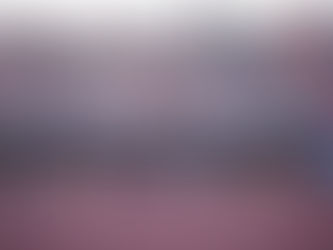 Newest Addition to the Simpson Spirit Program