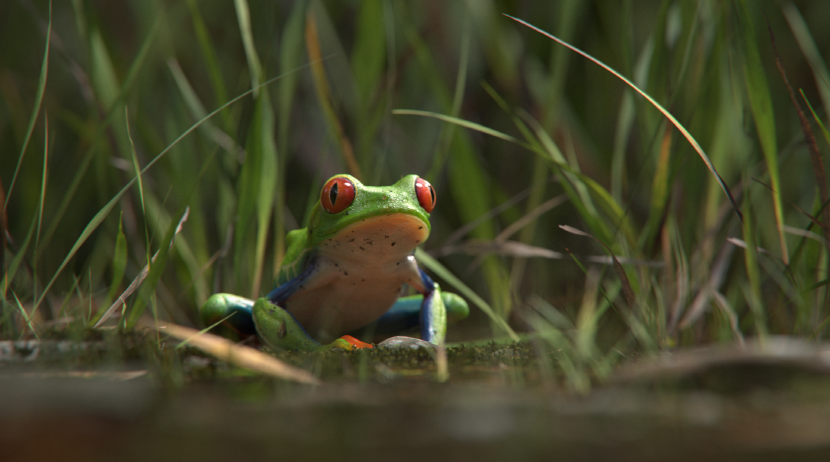 Tak Bo Mi_Highly Commended, Winner.png