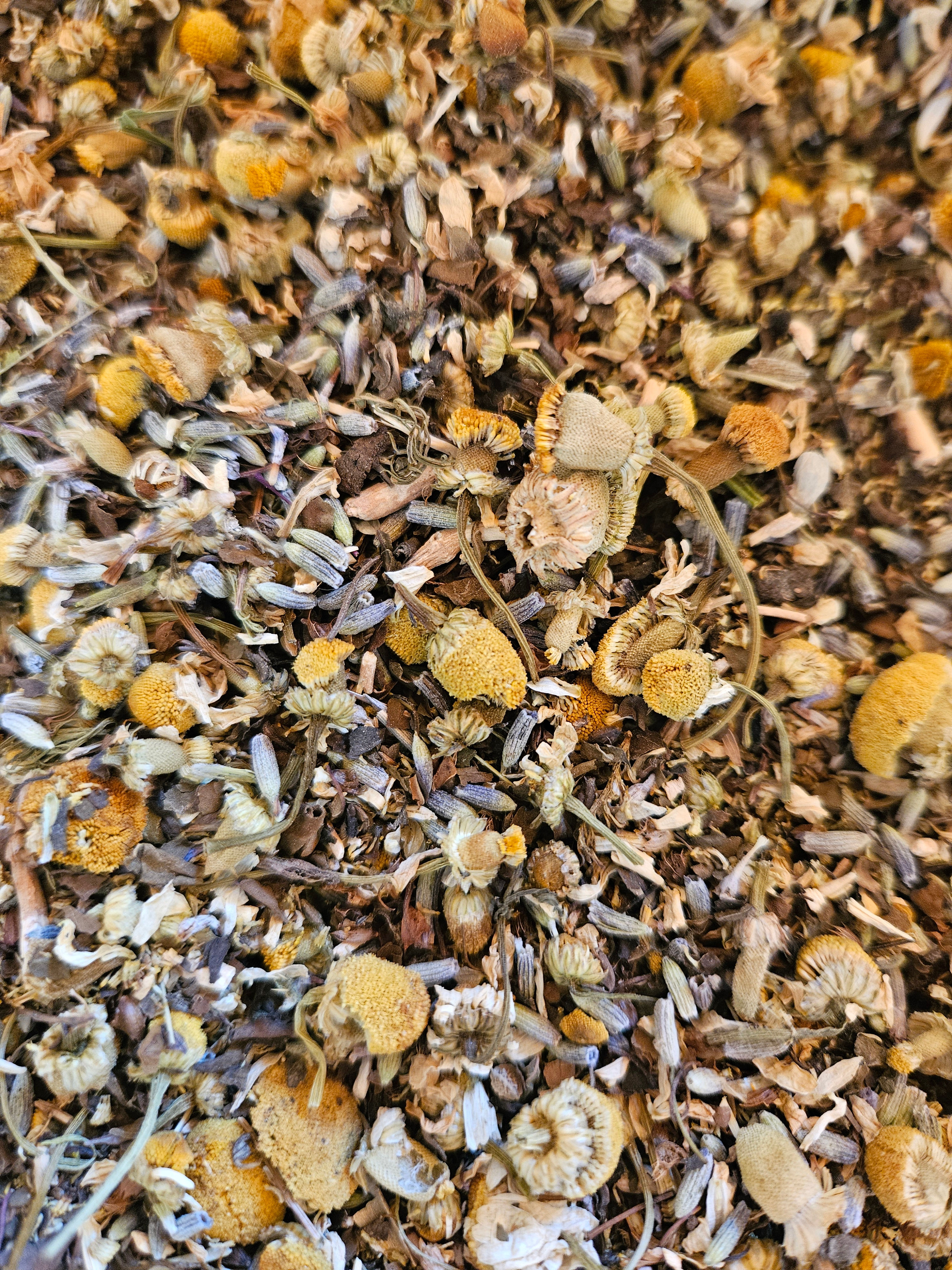 Sleepy Tea