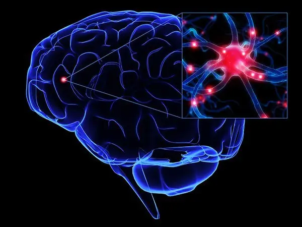 Brain Photobiomodulation Therapy