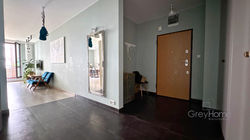 Grey_Bemo-03