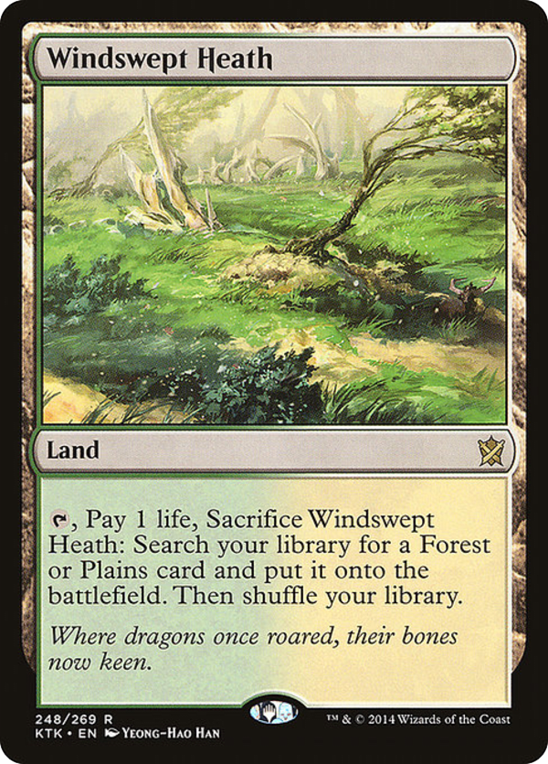 Windswept Heath - KTK - 248 - EX - MTG
