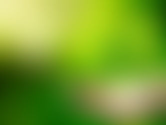 Sustainability in the Cosmetic Industry: A Growing Trend