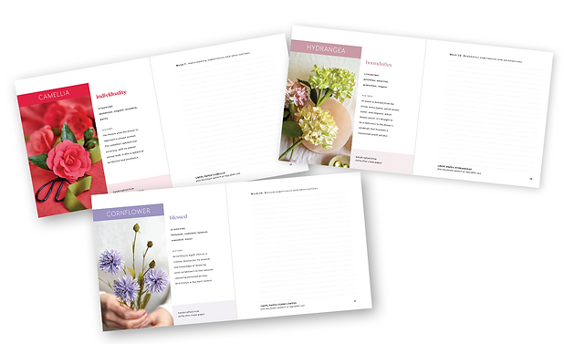 A year to bloom spread.png