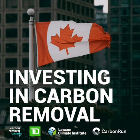 BREC engagement in the Canadian Carbon Removal drive at the Toronto Summit