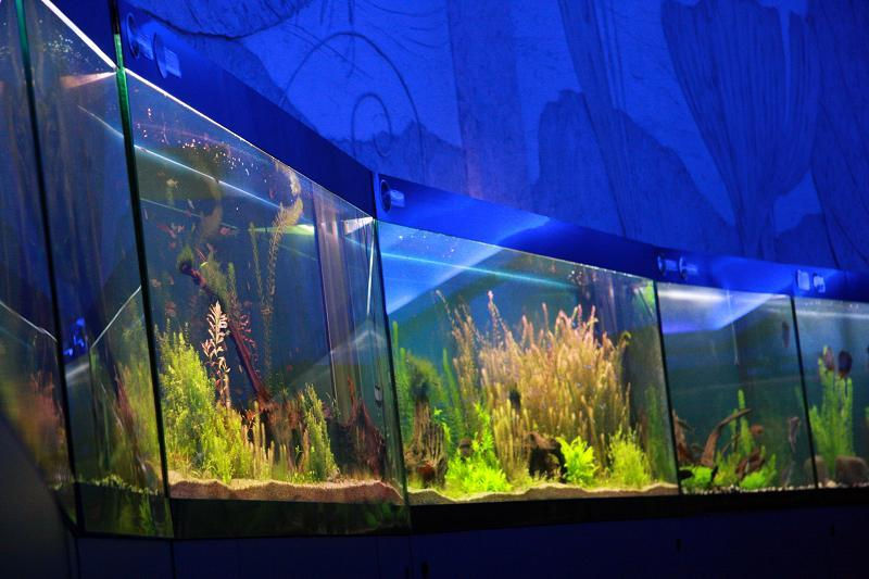 Ocean museum