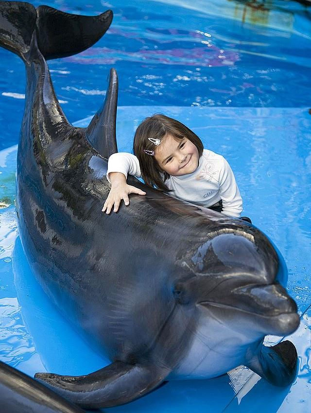Photo with dolphins