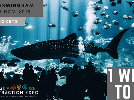 Expo Time