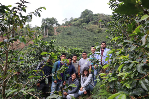 Discovering the Rich Flavors of Peru Finca El Morito – David Flores Microlot