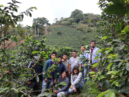 Discovering the Rich Flavors of Peru Finca El Morito – David Flores Microlot