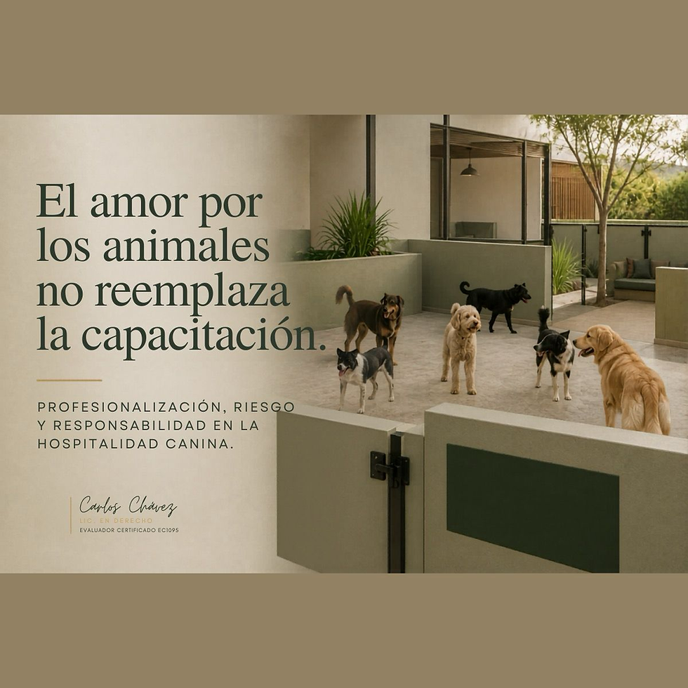 perros en un hotel