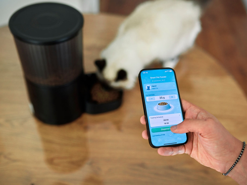 Tecnología para mascotas: La supervisión humana que ningún gadget puede reemplazar