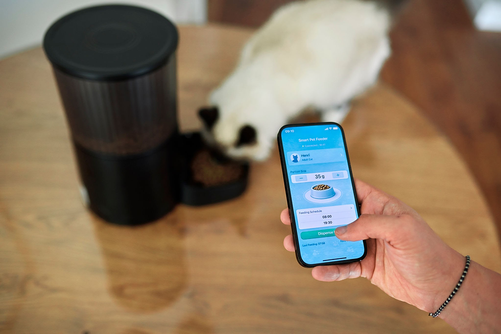 Tecnología para mascotas: La supervisión humana que ningún gadget puede reemplazar