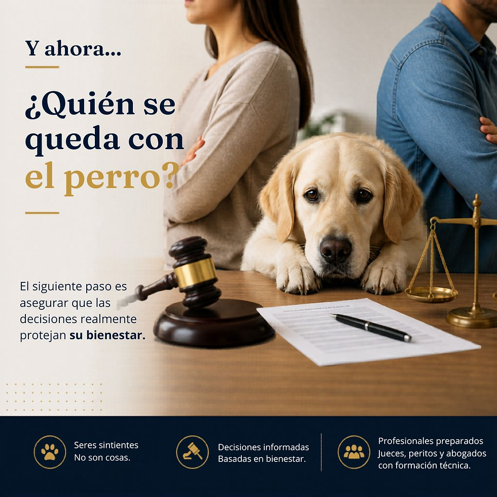 Un perrito preocupado
