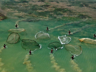 How to Promote Water Integrity