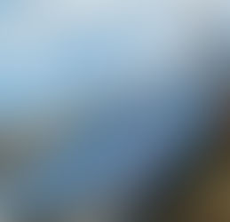 Solar Panels shown on a roof