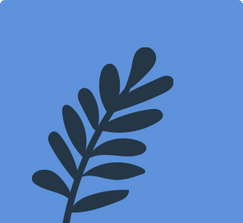 Copy of Lorem ipsum dolor sit amet, consectetur adipiscing elit. 