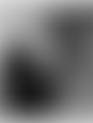 Rolling Loud 2023: A 3-Day Unforgettable Hip-Hop/Rap Experience in Los Angeles, California