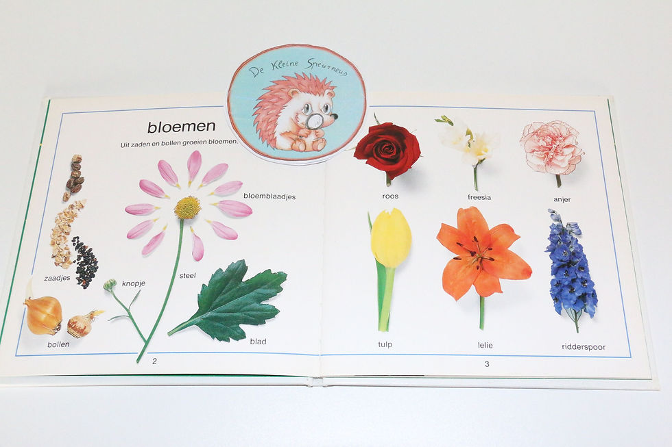 Thumbnail: boek: een ogenblik op: NATUUR