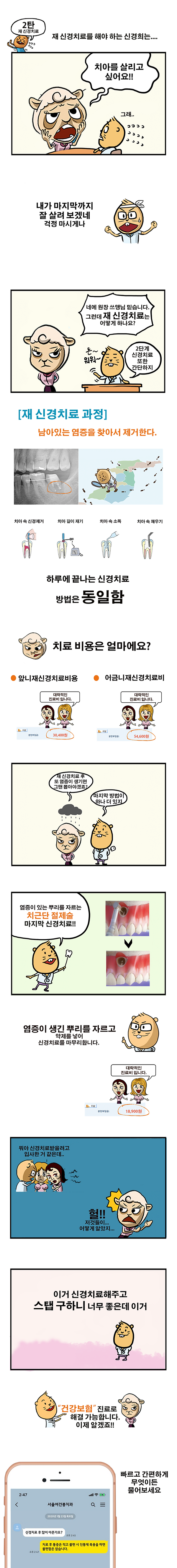 5G 재신경치료 치근단 절제술.png