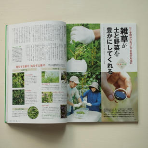 やさい畑 2020春号