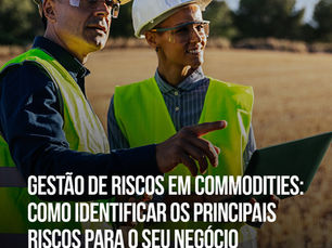 Gestão de Riscos em Commodities: Como Identificar os Principais Riscos para o Seu Negócio