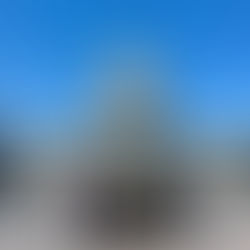 Voces Unidas llevará a 32 líderes a D.C.