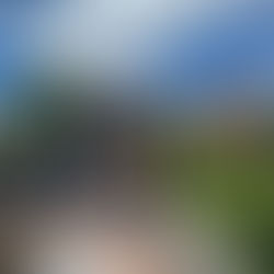 Latinos ajudando em tempos de crise | Latinos ajudando em tempos de crise