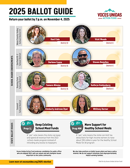 English 2025 Ballot Guide.png