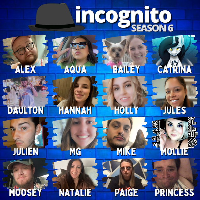 Incognito (12).png